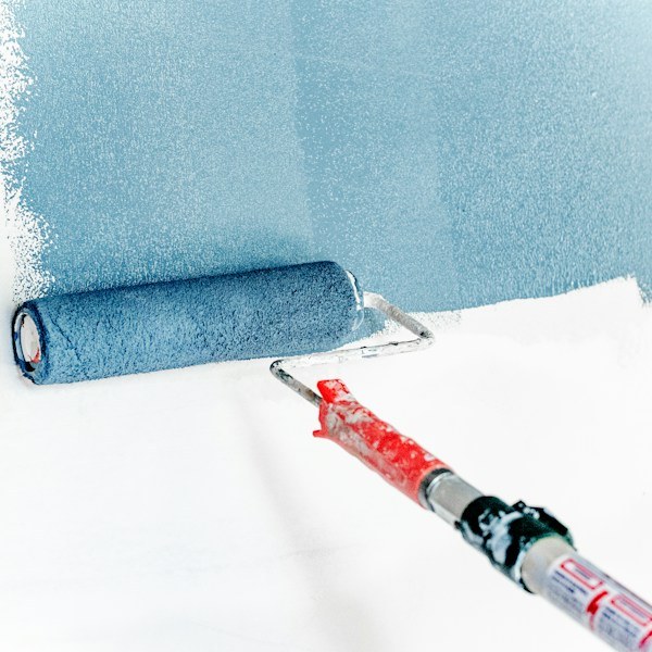 Primers & Putty